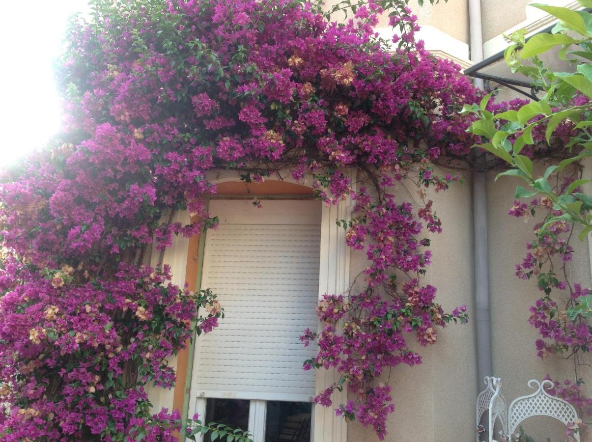 A L'Ombre Du Cedre Hotell Hyères Exteriör bild