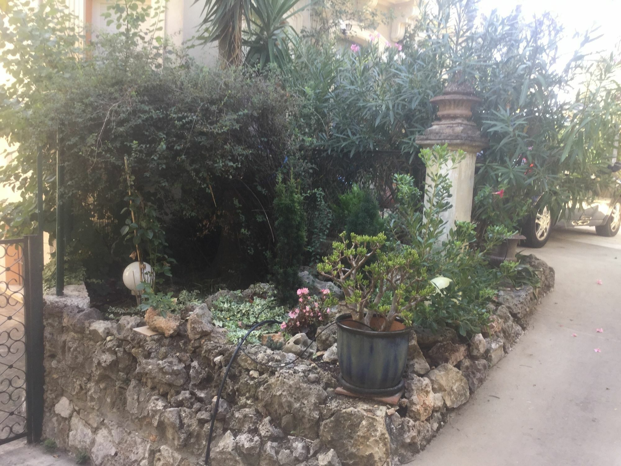 A L'Ombre Du Cedre Hotell Hyères Exteriör bild
