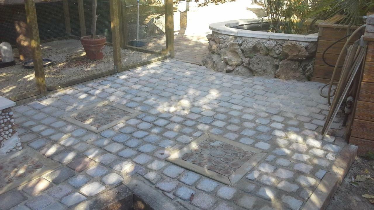 A L'Ombre Du Cedre Hotell Hyères Exteriör bild